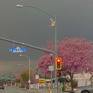 Meet your Posher, Julliana